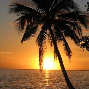 Meet your Posher, Robin